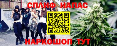 гидра Славгород