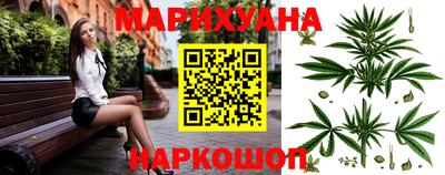 гидра Славгород