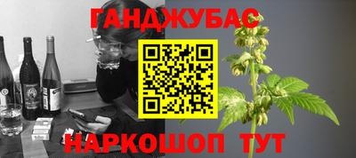 гидра Славгород