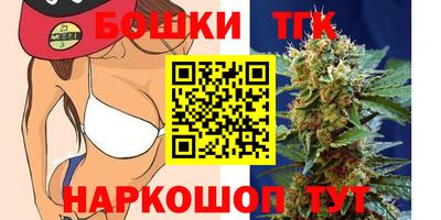 гидра Славгород