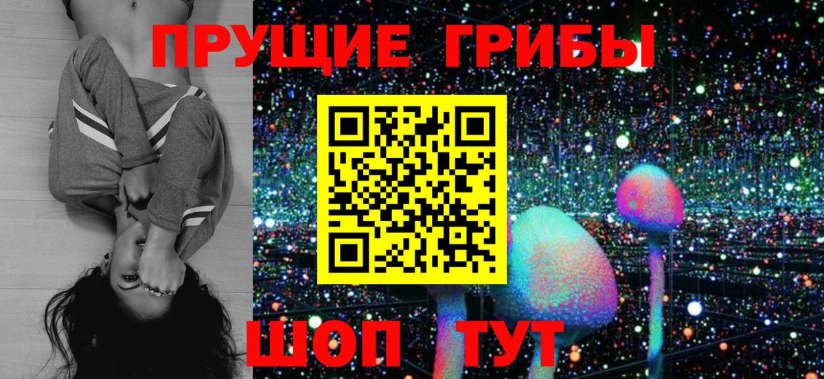 Галлюциногенные грибы Psilocybine cubensis Прокопьевск