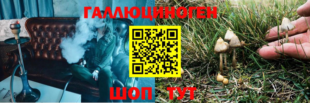 Прокопьевск  Псилоцибиновые грибы GOLDEN TEACHER  Галлюциногенные грибы GOLDEN TEACHER  Вход с VPN 